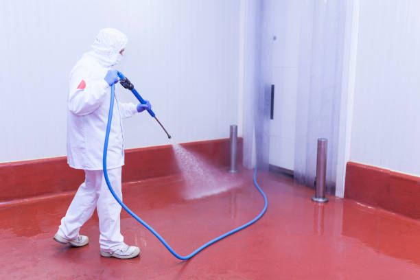 Best Oil Spill Cleanup  in Grand Mound, WA